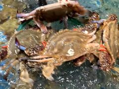 -黄龙海鲜大排档(杭州总店)