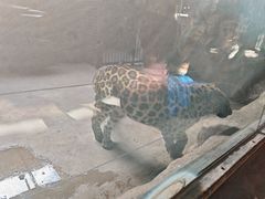 -鄂尔多斯野生动物园