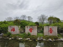-香雪海