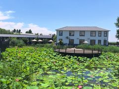 -白洋淀景区