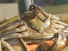 -南沙十九涌渔人码头-南门