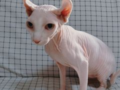 -沐沐家宠物(成寿寺店)