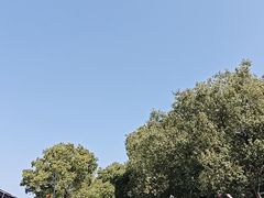 -巢湖姥山岛
