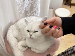 -兮奈ネイル美甲美睫·皮肤管理