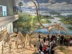 -自贡恐龙博物馆