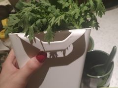 -润园四季椰子鸡火锅(海上世界店)