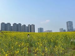 -光明小镇欢乐田园