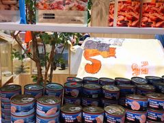-屋虎猫馆(宝安大仟里店)