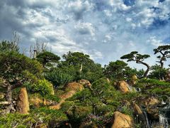 -罗红摄影艺术馆