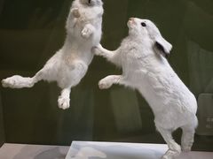 -国家自然博物馆