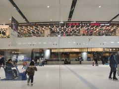-TheRink大零溜冰场(IFS国金中心店)