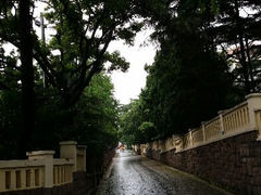 android_upload_pic-八大关景区