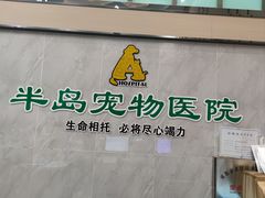 -半岛宠物医院24小时(科华中路店)