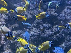 -海合安青岛极地海洋公园