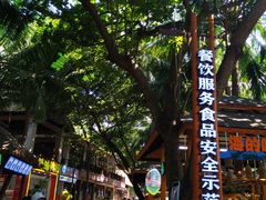 -海南分界洲岛旅游区