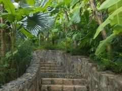 -100蛋泥浆浴
