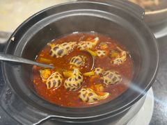 花螺-協成海鮮火鍋(老店)