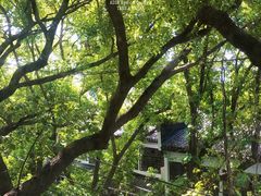 -福田家月子中心 产后 月嫂(市立母子医院店)