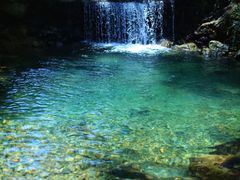 -宁波野生动物园