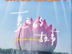 -白洋淀风景区
