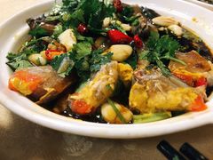 -肥信潮菜(科新路店)