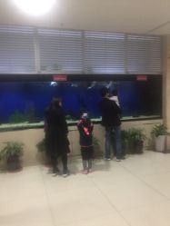 -西安市儿童医院门诊