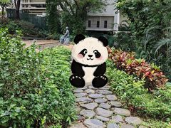 -香港大学