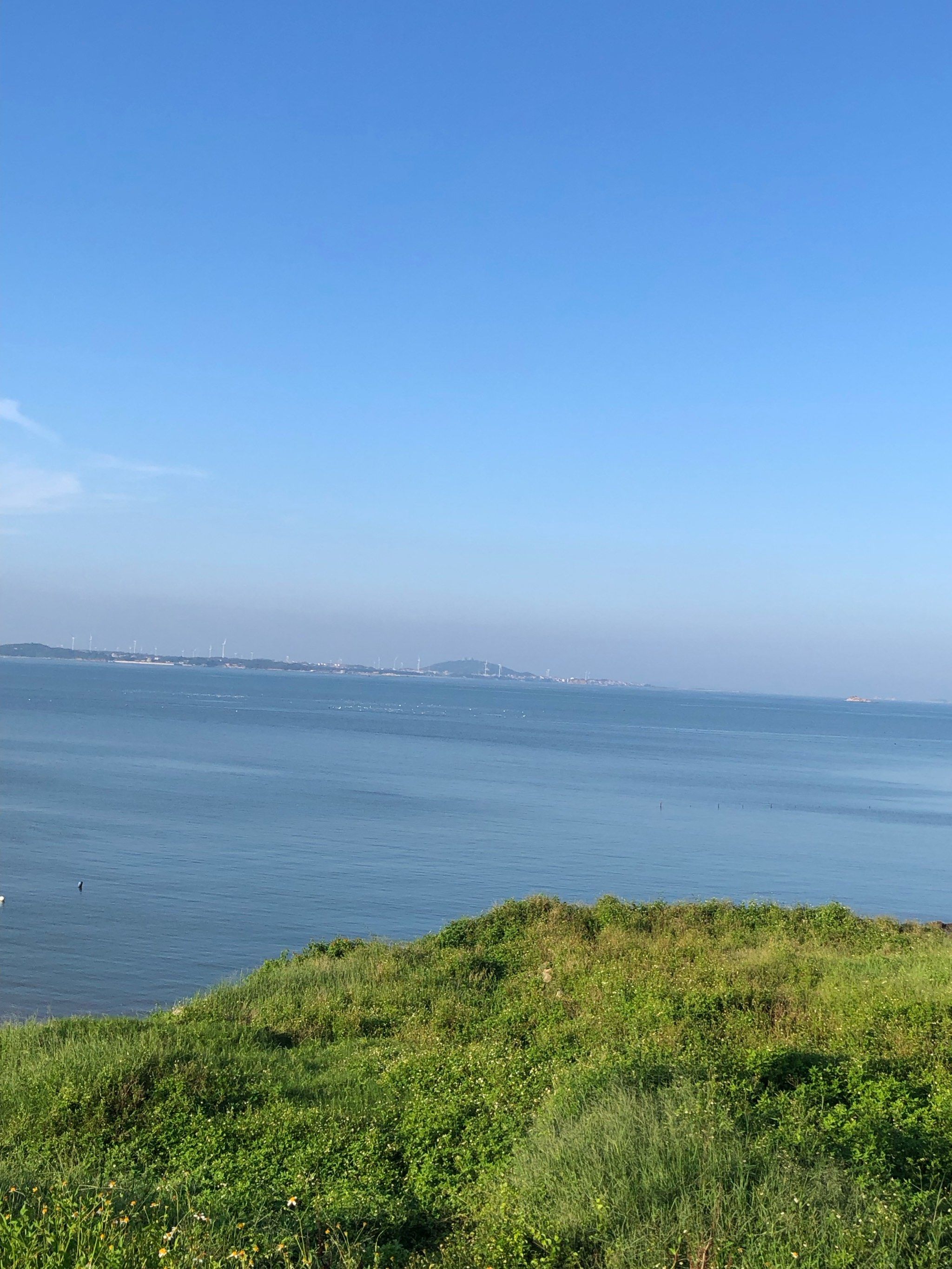 真的美,爱它的波澜壮阔,爱它的碧海蓝天,爱它的海天一线