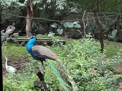 -广州长隆野生动物世界