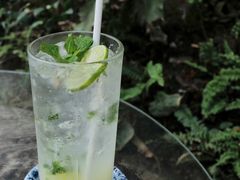 -Fern Forest Cafe