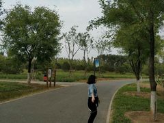 -东郊湿地公园