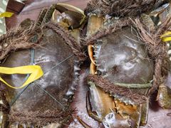 -龙海鲜螃蟹王(宏茂桥店)