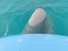-汕头中海黄金海岸水上乐园