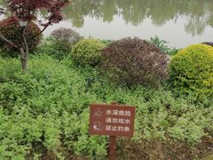 -九科绿洲