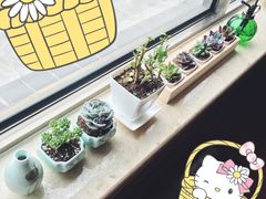 -龙大花卉苗木市场