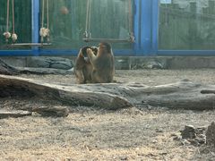 -大连森林动物园