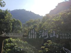 -鼎香皇高佬苏裹蒸粽