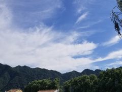 -王顺山国家森林公园