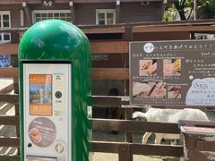 -神户市立六甲山牧场
