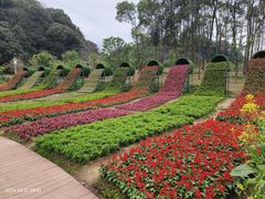 -广州市石门国家森林公园