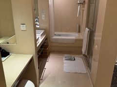 -电谷雅阁国际大酒店