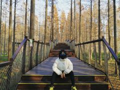 -黄海国家森林公园