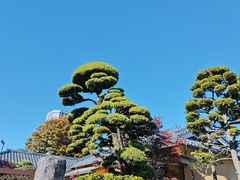 -上野公园花园稻荷神社(忍岡稲荷神社)