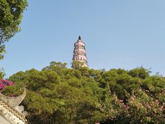-顺峰山公园