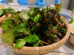 -攀枝花野菜铜火锅(万科凯德店)