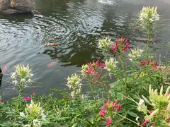 -罗红摄影艺术馆