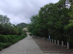 -府君山公园