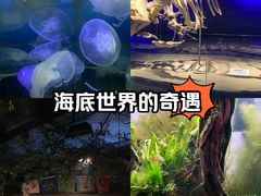 -重庆欢乐海底世界