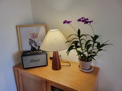 -本無咖啡·BeanWood Coffee