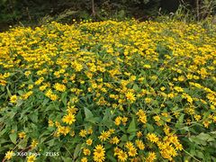 -玉渡山自然风景区